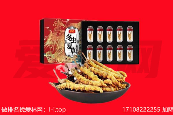 浉河区回收虫草.jpg